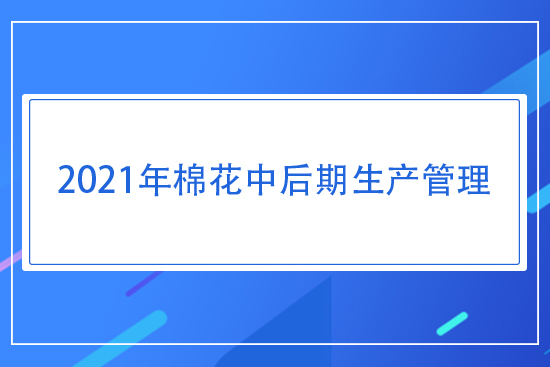 2021���޻��к������a(ch��n)����ָ����Ҋ