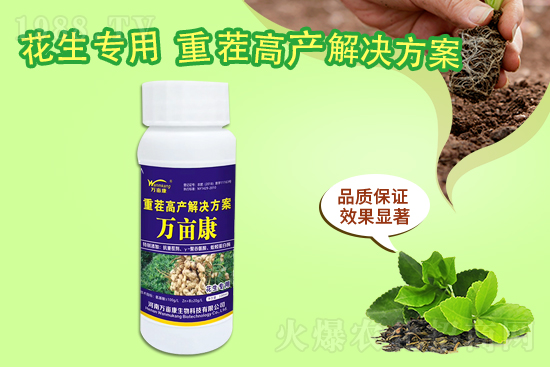 ���@����(w��n)������20219��10�����@�r(ji��)�������(b��o)�r(ji��)