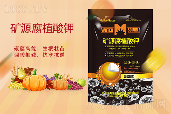 �����Ј�����������2021��9��10���A�����؃r������