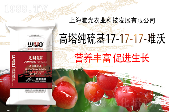 �ͺϷʈ�r��2021��9��13�Շ��ȏͺϷʃr������