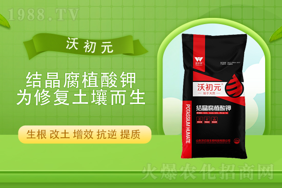 ���؎���»���2021��9��15�Շ���(n��i)���������߄�