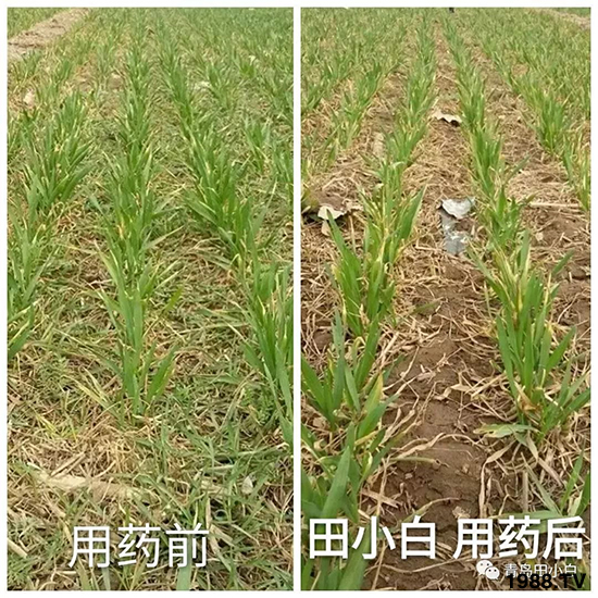 С���s������(ji��)��(ji��)�����E�ɞ�(z��i)����ô�k��С�����݄���ô�x