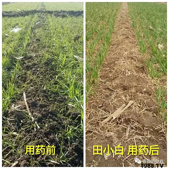 С���s������(ji��)��(ji��)�����E�ɞ�(z��i)����ô�k��С�����݄���ô�x