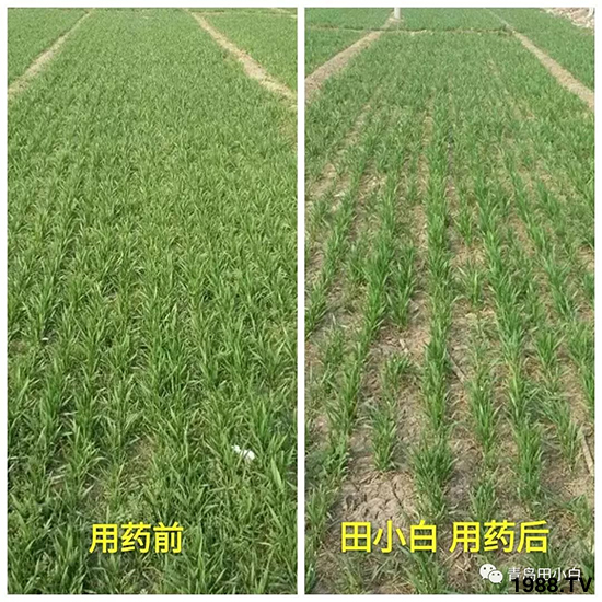 С���s������(ji��)��(ji��)�����E�ɞ�(z��i)����ô�k��С�����݄���ô�x