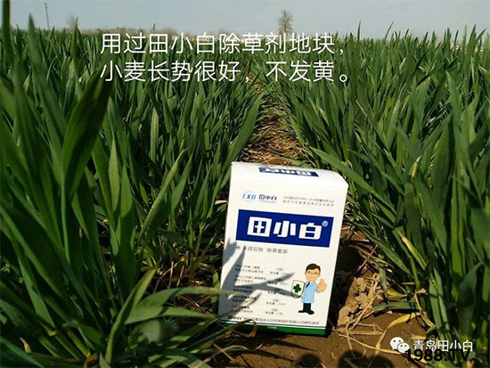 С���s������(ji��)��(ji��)�����E�ɞ�(z��i)����ô�k��С�����݄���ô�x