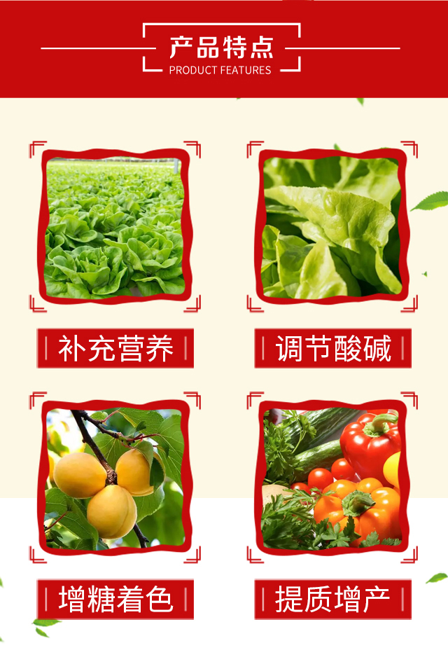 ������}��-�������Q(m��o)_04