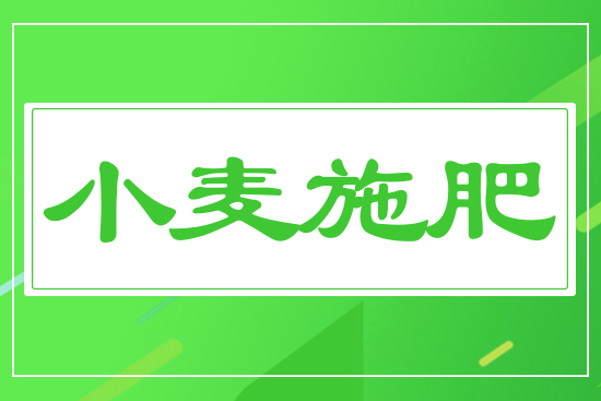 С��?zh��n)��? style=