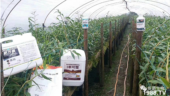 꿾����F(tu��n)80