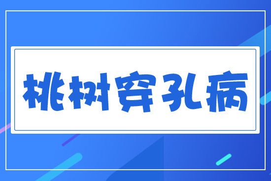 �Ҙ�(sh��)���ײ�