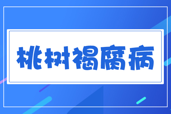 �Ҙ�(sh��)�ָ���