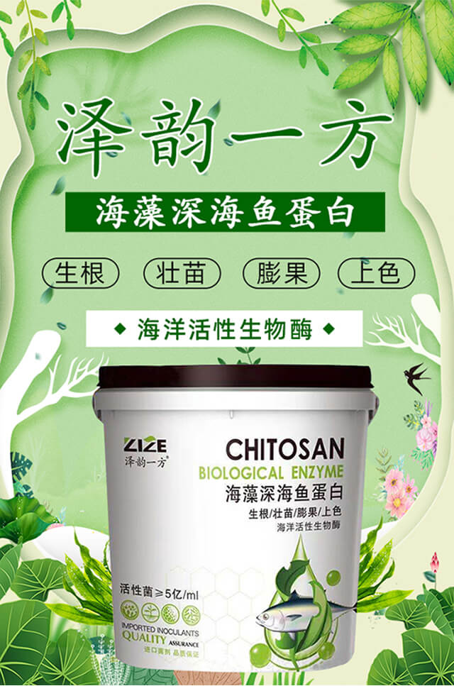 ���r���_01