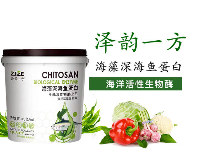 ���r���_02