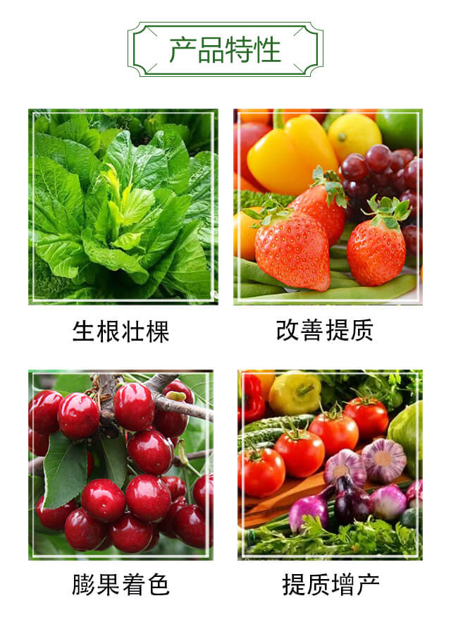 ���r���_03