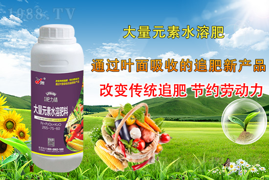 �����仨����������Ͳ��ü������l(f��)�������ٻ����������E���@��