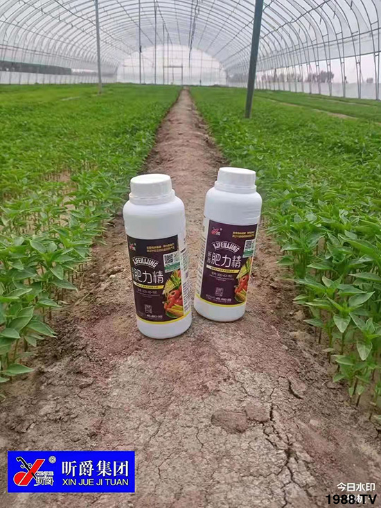 �����仨����������Ͳ��ü������l(f��)�������ٻ����������E���@��