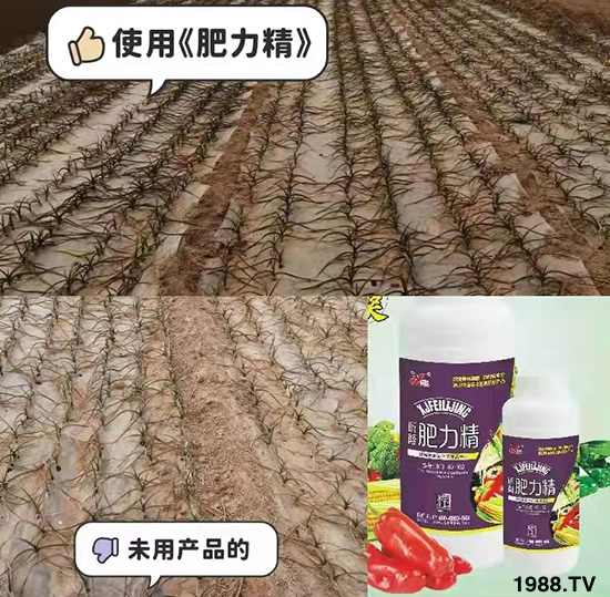 �����仨����������Ͳ��ü������l(f��)�������ٻ����������E���@��