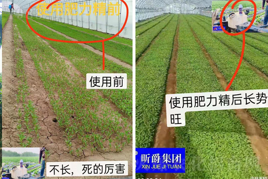 �����仨����������Ͳ��ü������l(f��)���ܣ��ٻ����������E���@��