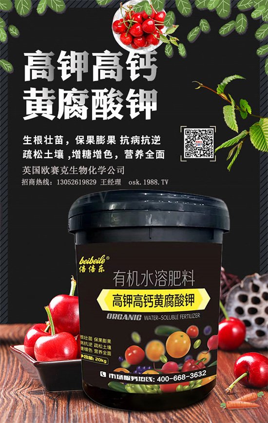 һ���S�����=�����������������ЙC(j��)�����S����⛞��������棿