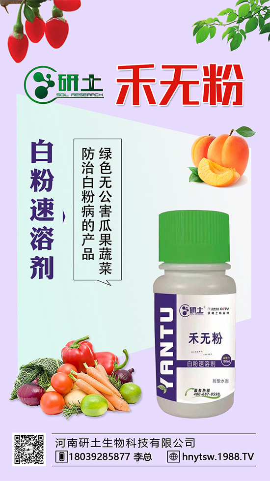 ���Ѱ׷۲��������l(f��)���������ֱ�׷۲���