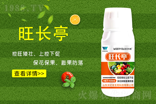 ʲô���S�����L���S�����L�ķ��ش�ʩ