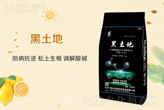 ��ɽ����r(n��ng)�I(y��)�Ƽ����޹�˾1