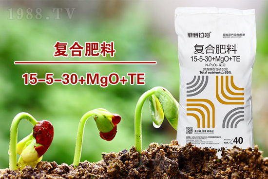 �ͺϷ�����ô�x���@���÷ʎ���ʡ�X��