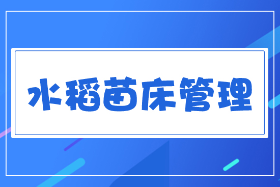 ˮ���紲
