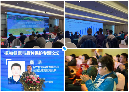 2022�����I�r(n��ng)�Y���[��(hu��)17