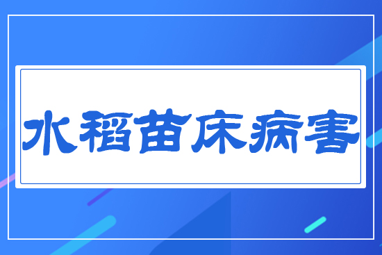 ˮ���紲����