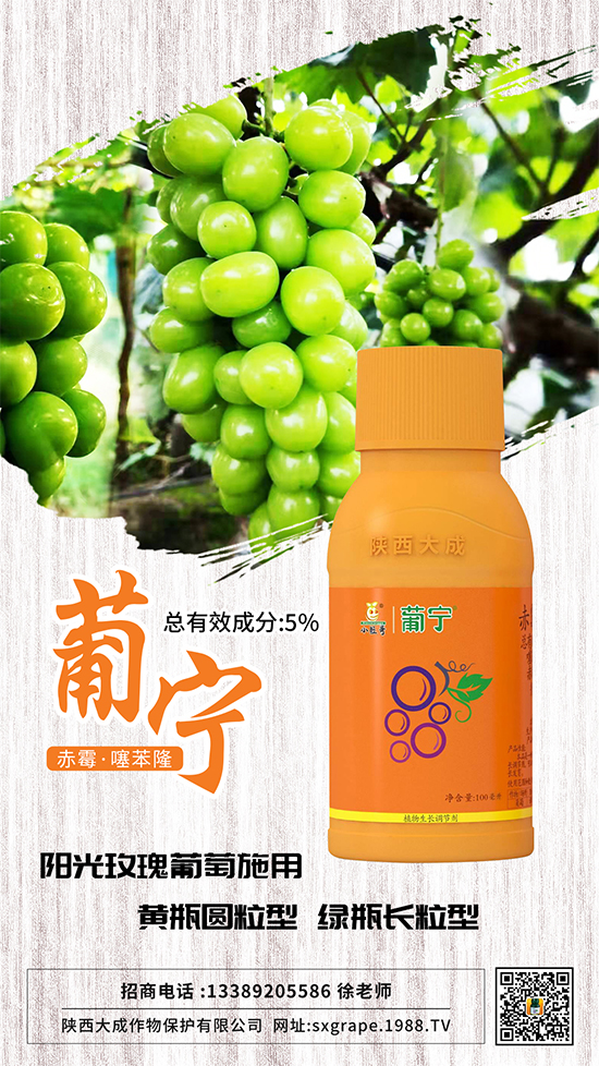 ������α����������p�ٴ�С�����@Щ�����ஔ��Ҫ��