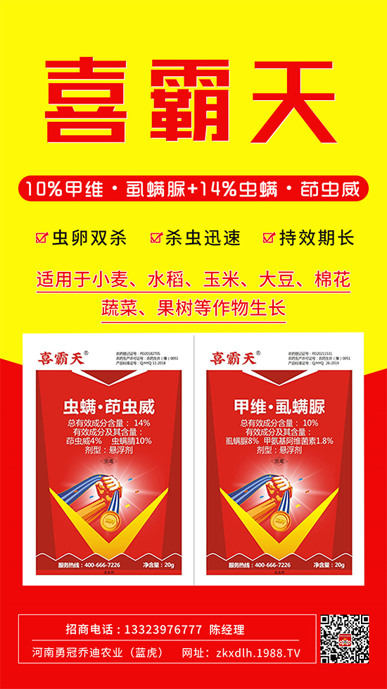 С�˶��������xΣ����̫�y���@����ˎ��һ��һ��(g��)��(zh��n)!