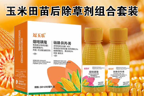 ���׳��݄���ô�������Ч��