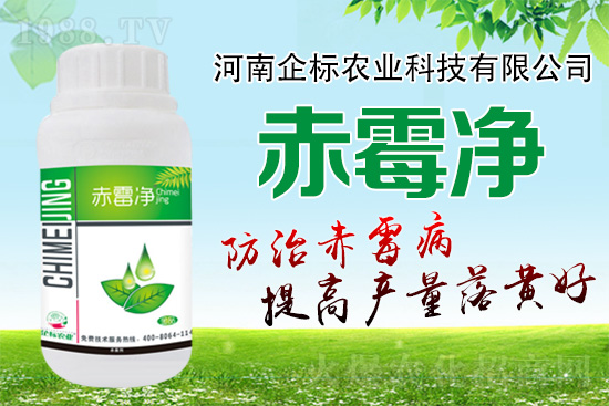 �o�����ѣ�δ��ʮ����С����ù�������P(gu��n)�I������(w��)��ץס��