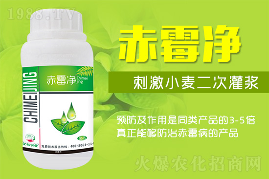 �o�����ѣ�δ��ʮ����С����ù�������P(gu��n)�I������(w��)��ץ����