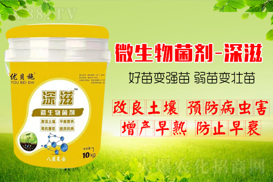 ������α��l(f��)ʽ�������������B(y��ng)�������������