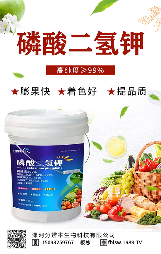 �~��ʵć�ʩ�`�^(q��)���@���c�e������