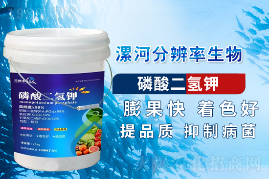 �~��ʵć�ʩ�`�^(q��)���@���c�e������