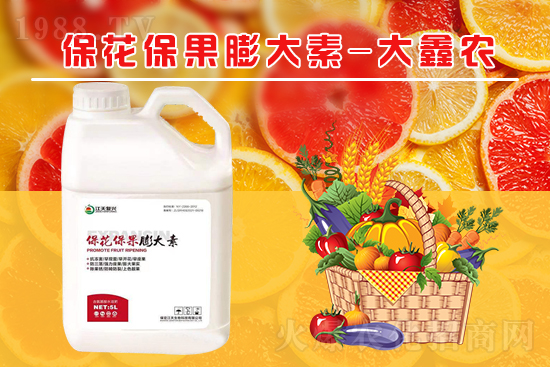 �ļ���������ٲ�������α��������