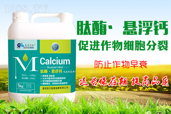 �O(p��ng)����(sh��)�����a(b��)�}���P(gu��n)�I���O(p��ng)���a(b��)�}���Ă�(g��)�`�^(q��)��֪������