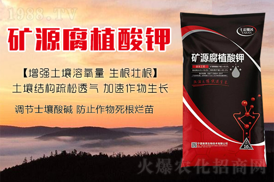 ����Nֲ��������(d��ng)�ׂ��������Ӹ��Ƹ�ϵ��r����