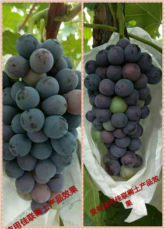 ��(li��n)ϡ���aƷ