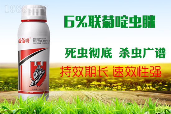 �������x���l(f��)�l��������ע����ǰ�������ׂ������p�ɸ㶨��