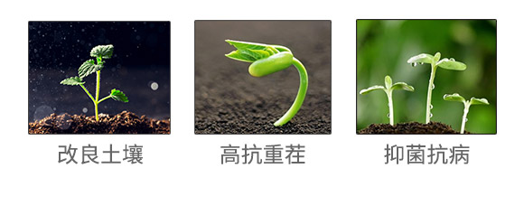 �ﲩʿ���F(tu��n)���޹�˾��873702��_04