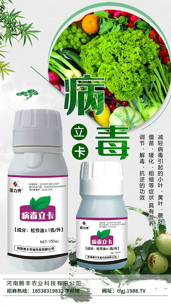     ������һ�N����ֲ�ﲡ����������Ĳ������N�����Σ�����׵��y��������Ⱦ�߲�ֲ�����c�߲ˠ��Z���L������B(y��ng)����ͬ�r��Ӱ�ֲ����B(y��ng)�ւ�ݔ�����ƹ�����õ��M��