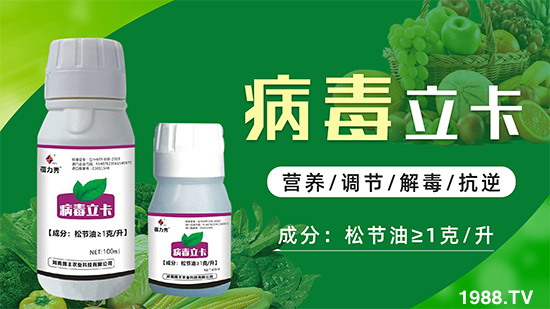 �ƽ�ֲ�ﲡ�������y�}�����ٻ֏����C���@��ˎ���Ͼ͹��ã�