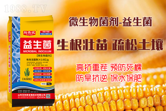 ������������Ѹ����L�ݸ�ïʢ���W(xu��)���@Щ�°빦����