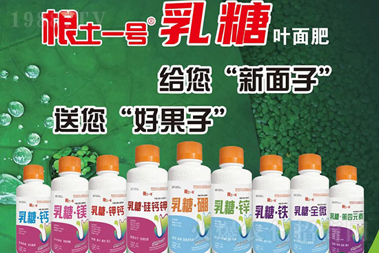 �J����������c(di��n)����Щ���J����������ôʩ