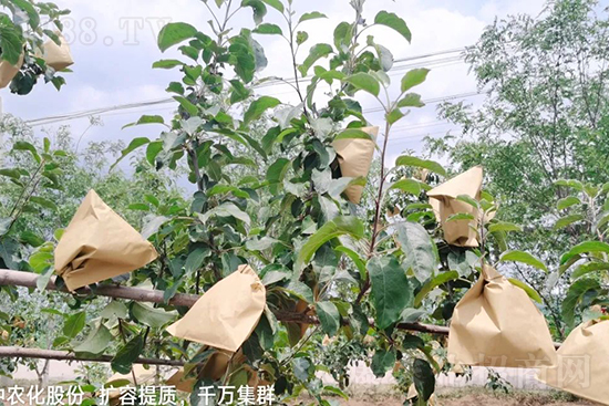     �����״���ɜp���r(n��ng)ˎ���������ƹ��ӵ����^Ʒ�|(zh��)���ɴ����߹�Ʒ�u���������׳��۲��u���߃r�����Թ����״�Ŀǰ��Ȼ���҇����@����Ҫ�����������״��O��������Ǻã�Ҳ�ٲ�����