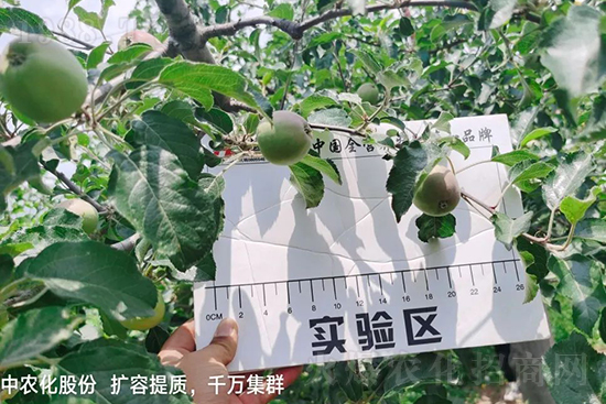     �����״���ɜp���r(n��ng)ˎ���������ƹ��ӵ����^Ʒ�|(zh��)���ɴ����߹�Ʒ�u�࣬�����׳��۲��u���߃r�����Թ����״�Ŀǰ��Ȼ���҇����@����Ҫ�����������״��O��������Ǻ���Ҳ�ٲ�����