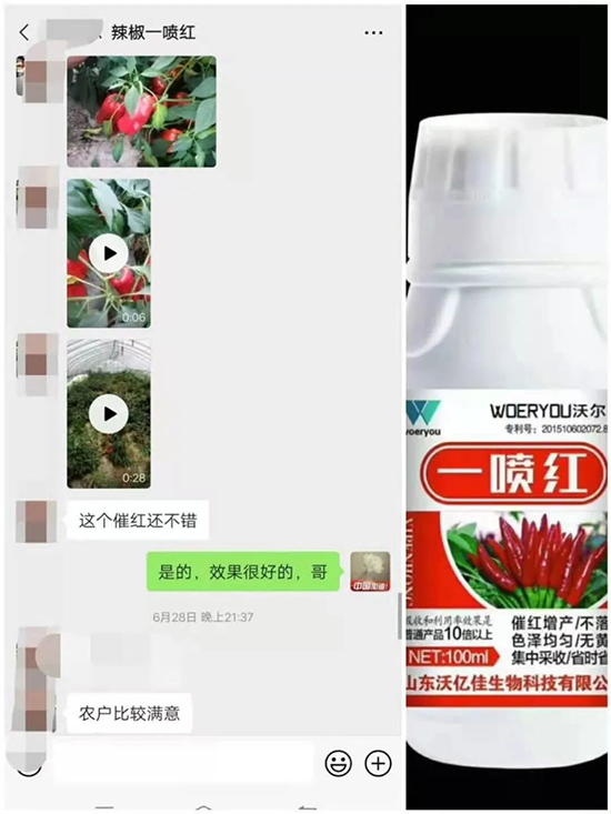 ���t�����95%���߼t�����~�����뷭�׷�����������һ���t��